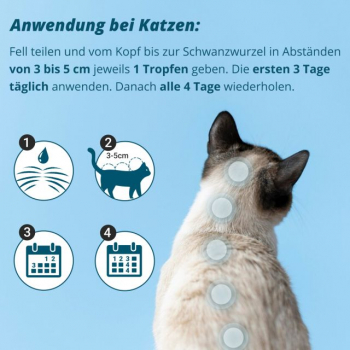 Zeckenschutz für katzen Marsapet