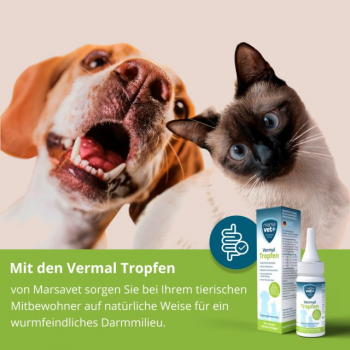 Hundewurmtropfen